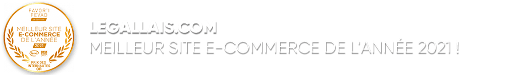 header-ecommerce2020.png